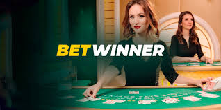 Discover the Thrills of Online Casinos BetWinner 16